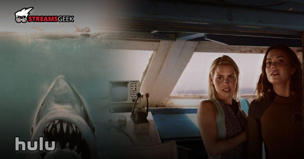 The 10 Best Shark Movies on Hulu: Thrilling Adventures Under the Sea